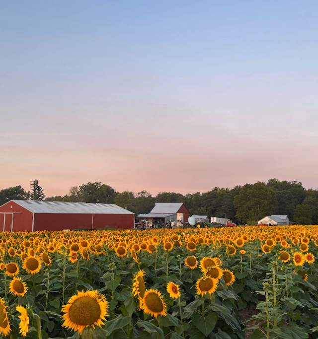 Grinter Farms