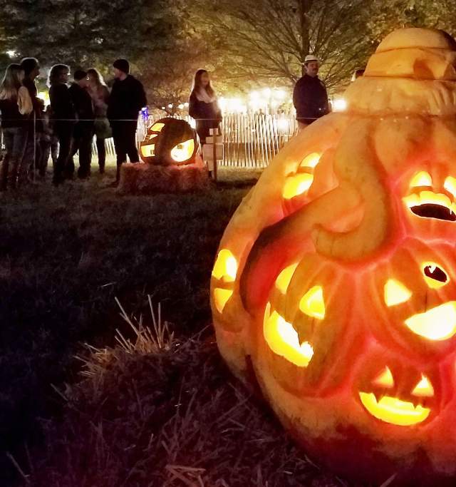 Pumpkin Carve
