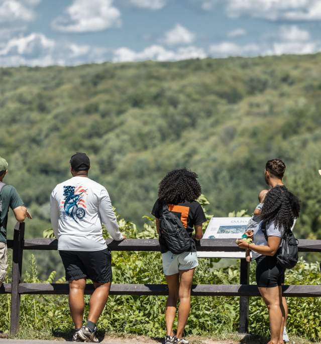 People Overlooking Letchworth