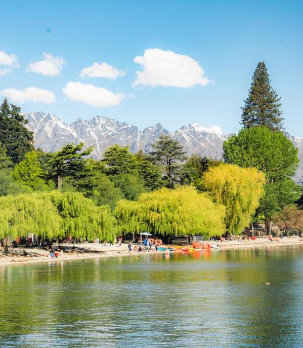 Wide shot of Queenstown bay with green willow trees lining the lake and snow capped mountains in the background