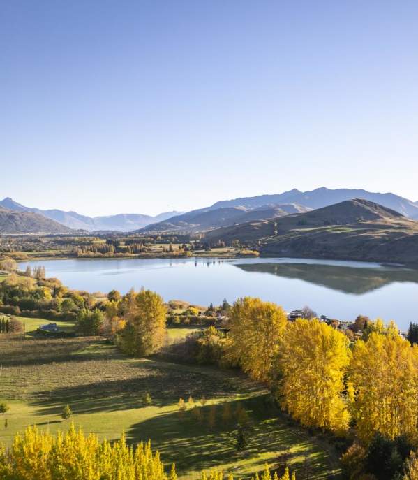 An aerial shot of Lake Hayes on an autumn day
