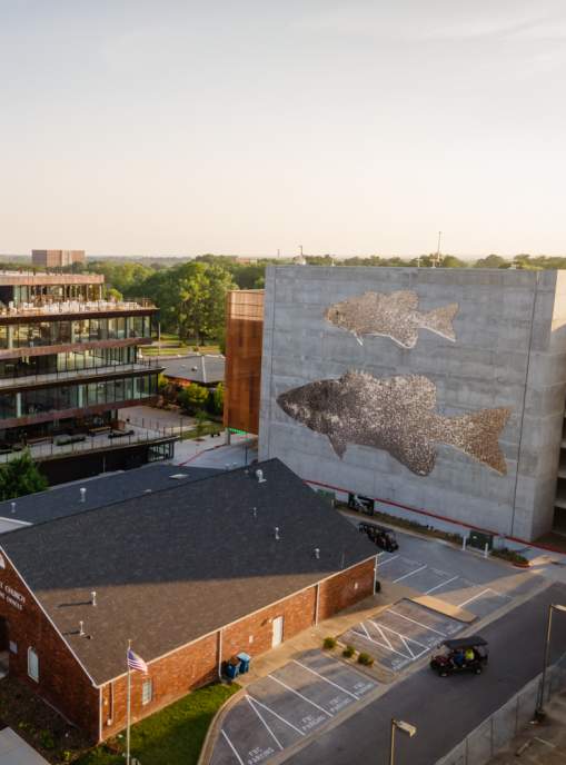 An aerial photo of Ledger's parking garage featuring two enormous sparkly fish