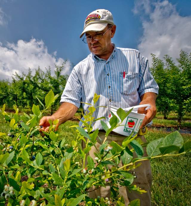 FARMS AND FARMERS MARKETS