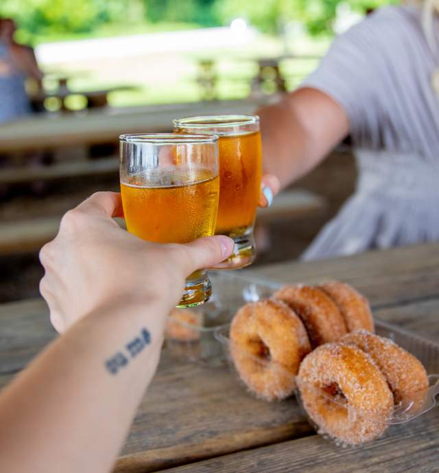 Two people cheersing small glasses of cider together with a half a dozen donuts in a container in between them on the wooden table