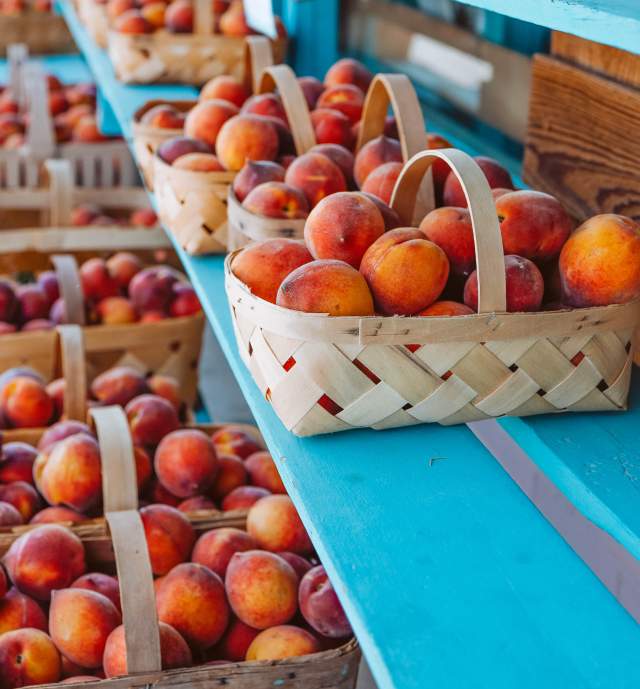 Peach Tree Orchard Peaches