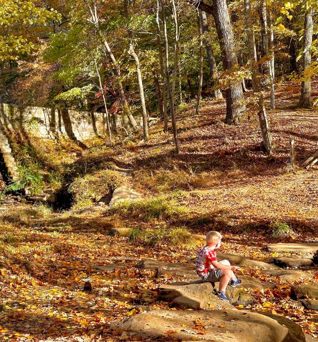 Kings Mountain State Park