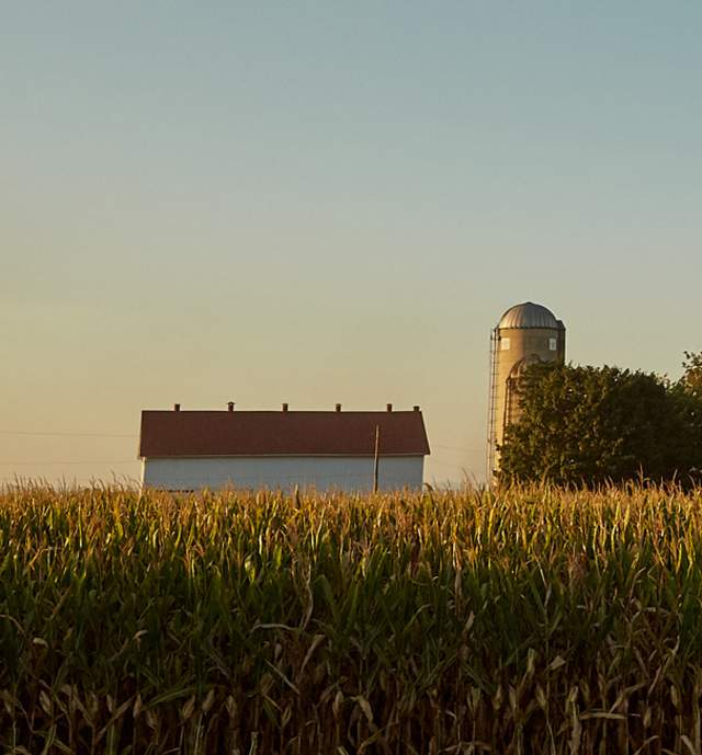 Horizon of a farm in Lancaster with a cornfield and barn