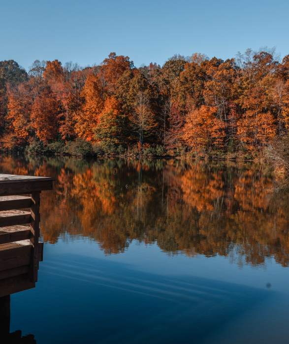 Top Spots for Fall Foliage in York County, South Carolina