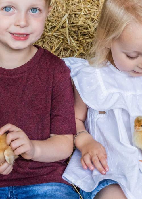 Children holding chicks at Longdown Activity Farm in the New Forest