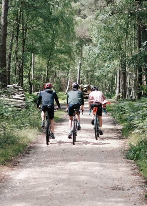 Group cycling amongst trees in the New Forest