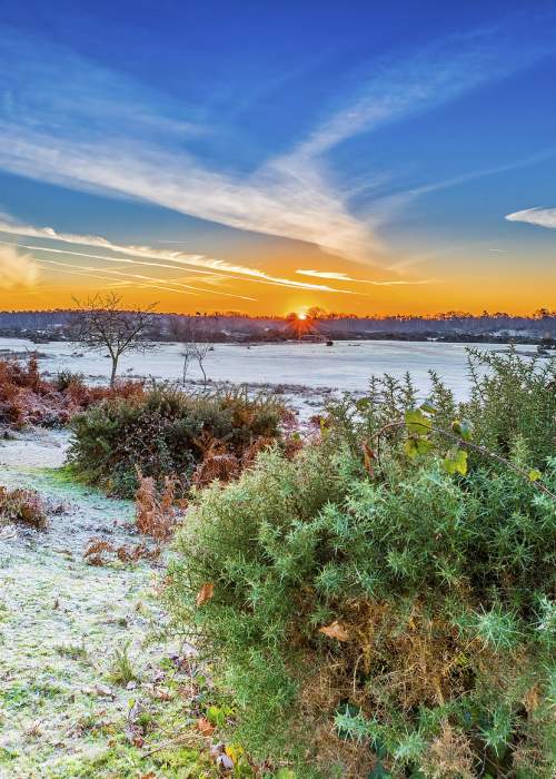 Sunrise across a frost landscape in the New Forest - Explore