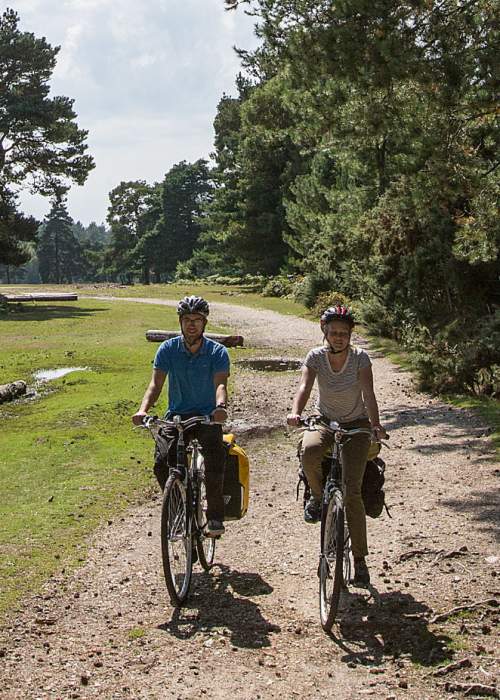 Couple cycling on path in the New Forest
