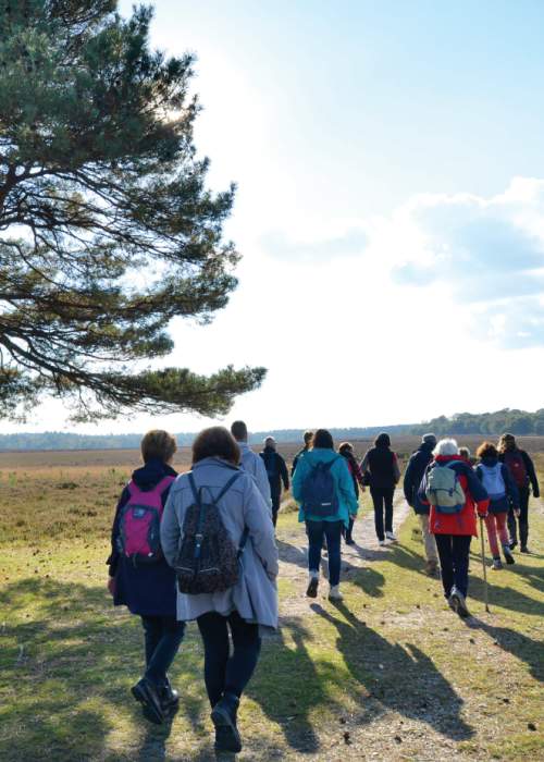 Group on a guided walk across heathland in the New Forest