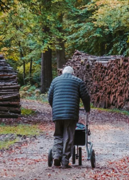 Accessible walking route bypassing pony in the New Forest