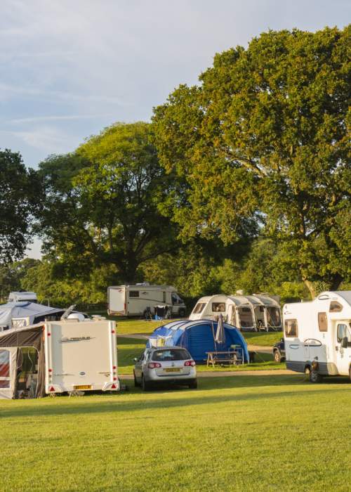 Campsite with tents and caravans at Red Shoot Camping Park in the New Forest