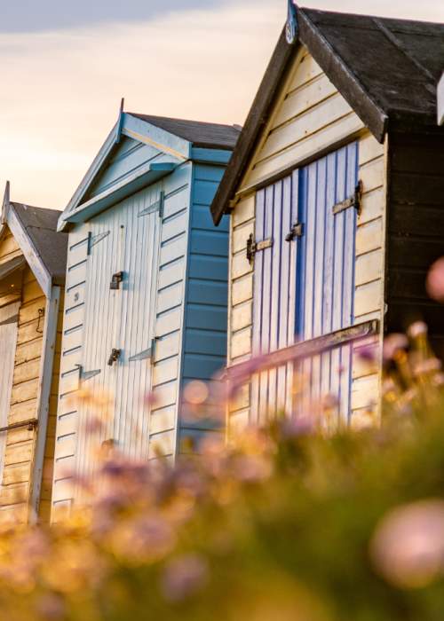 Beach huts and flowers at Milford on Sea on the New Forest Coastline