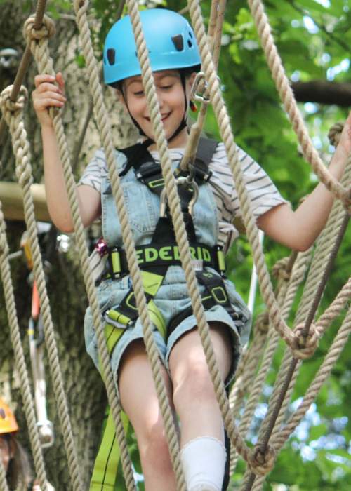 High ropes event in the New Forest