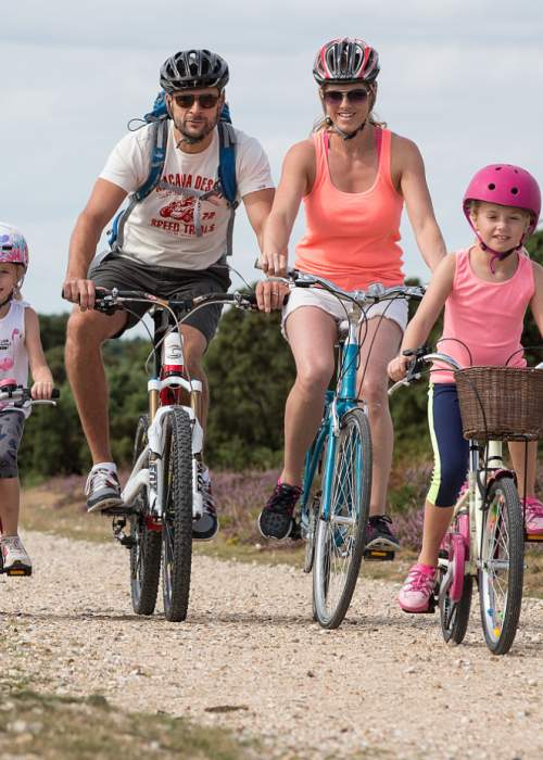 Family cycling on waymarked route in the New Forest