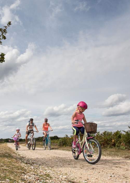 Family cycling in the New Forest