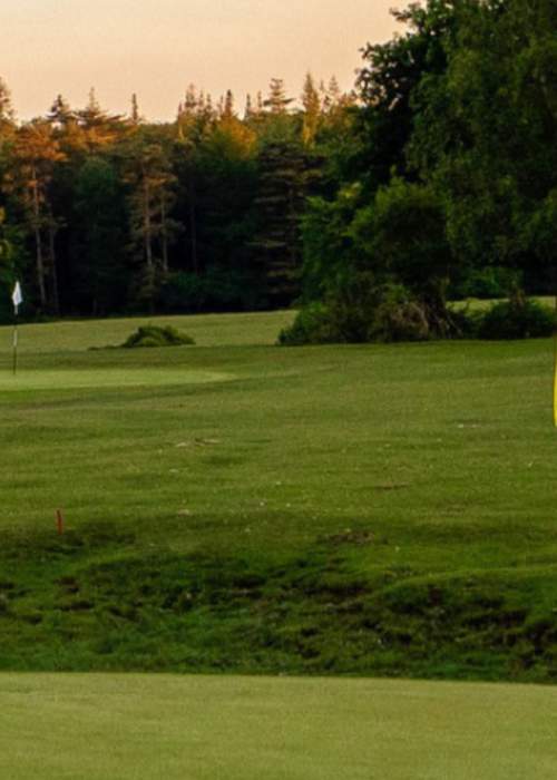Bramshaw golf course in the New Forest