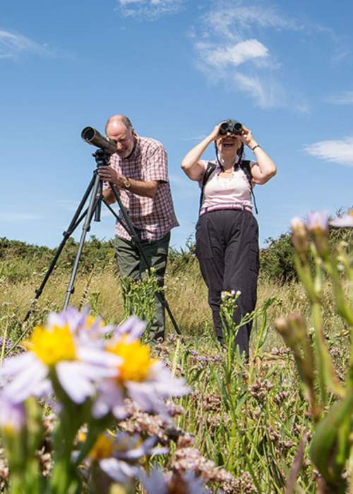 Bird watchers within the flowers in the New Forest