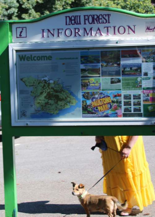 Visitor Information Panel in Burley Car Park in the New Forest