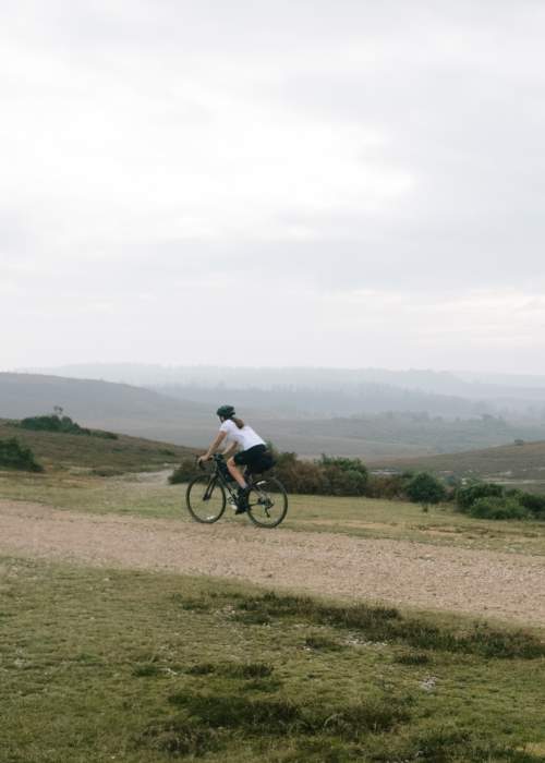 New Forest Cycling Cycle Routes Hire