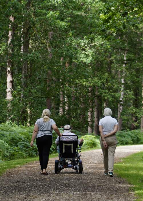 Accessible Walking Routes in the New Forest