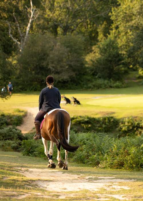 Bramshaw - Golf Club