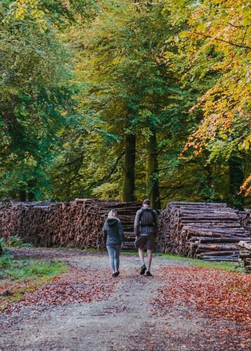 Colourful Autumn Walks Blog