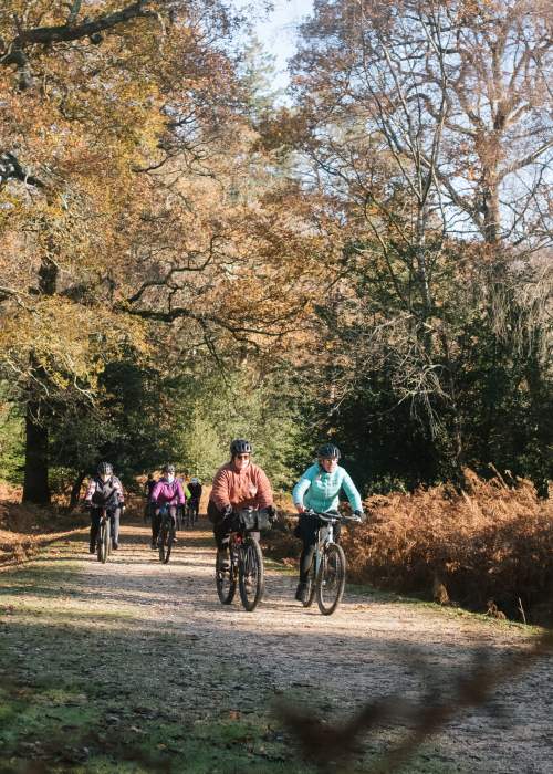 Guided cycling with The New Forest Off Road Club