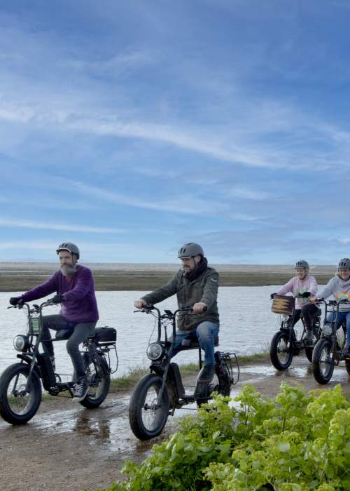 Jaunt-e Bikes