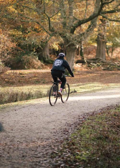 Riding in the New Forest on bike in 2024