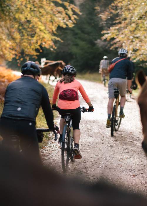 Group riding amongst ponies in the New Forest with The Woods Cyclery