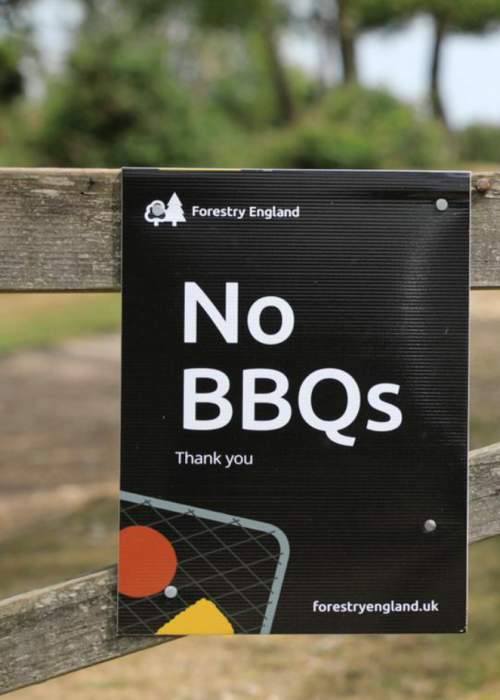 No BBQs warning sign in the New Forest