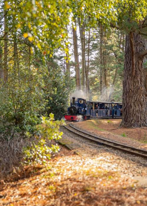 Steam Railway at Exbury Gardens in the New Forest - Things to do hero