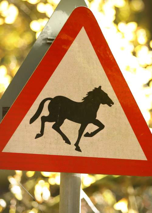 Free roaming pony caution sign in the New Forest