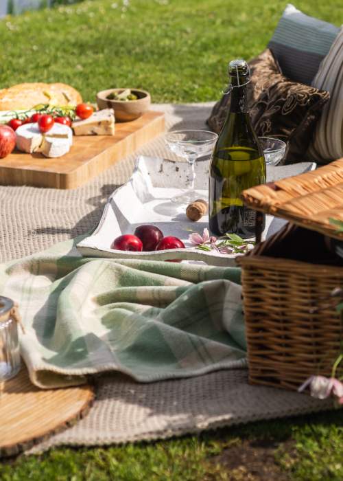 Picnic on blanket by river in the New Forest