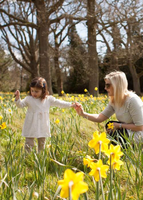 Mother and daughter in daffodils at Exbury Gardens in the New Forest