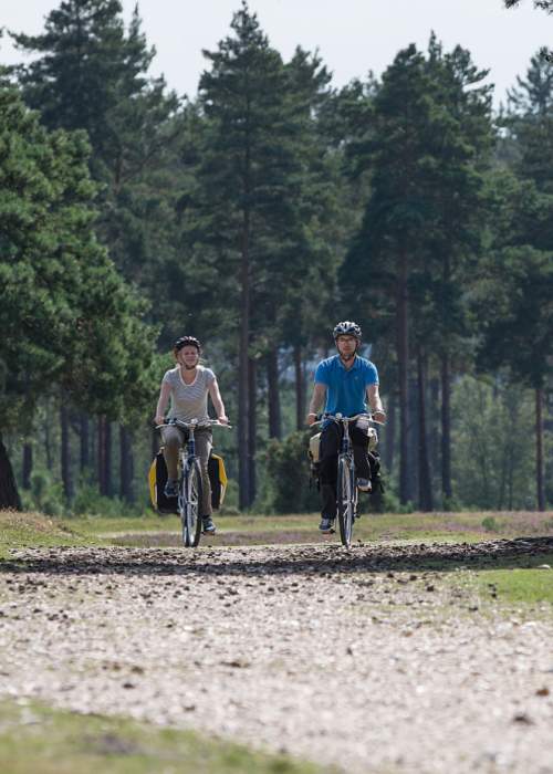 Couple cycling on waymarked route in the New Forest