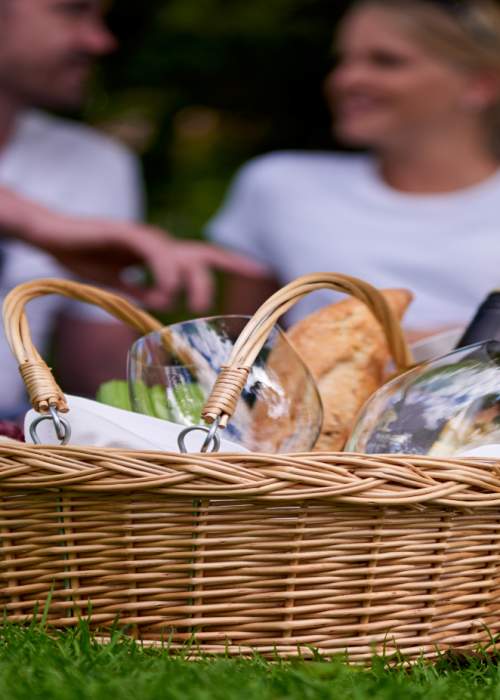 Hamper on picnic in the New Forest
