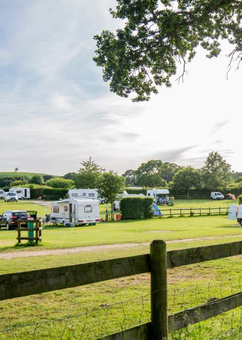 Tents and caravans at campsite in the New Forest