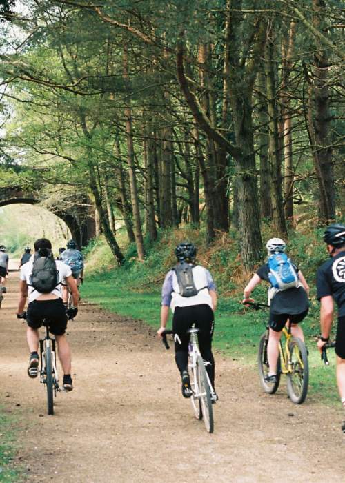 Group cycling under railway bridge in the New Forest