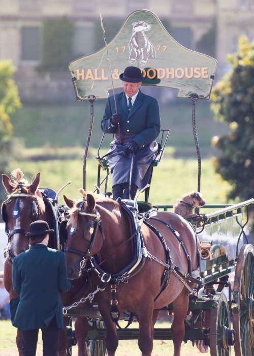 Showground horse entertainment at Ellingham Show in the New Forest