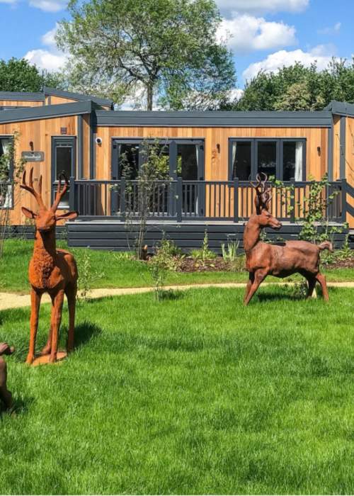 Modern woodland lodge exterior at Sandy Balls Holiday Village in the New Forest