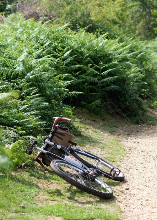Bike on floor by cycling path in the New Forest