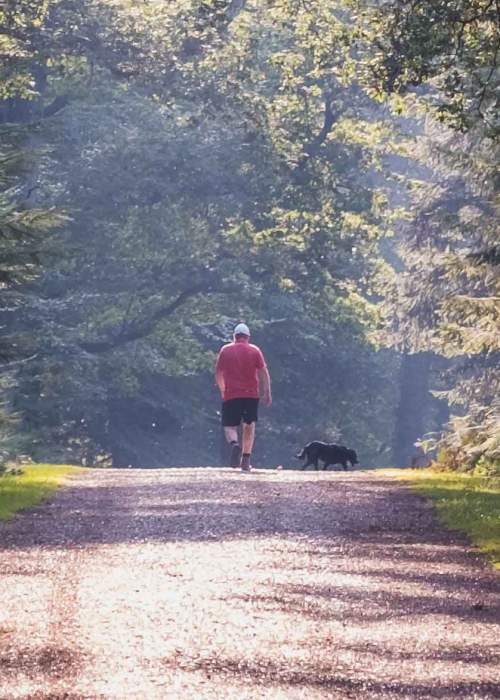 Man walking with his dog on path in the New Forest