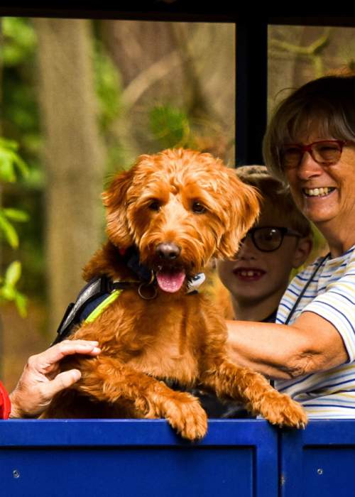 Couple and dog on steam railway at Exbury Gardens in the New Forest