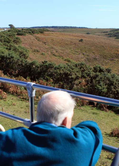 Passenger on New Forest Tour Bus looking at views in the New Forest
