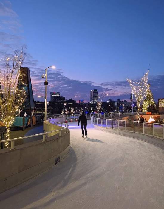 Winter Magic at Howard Park